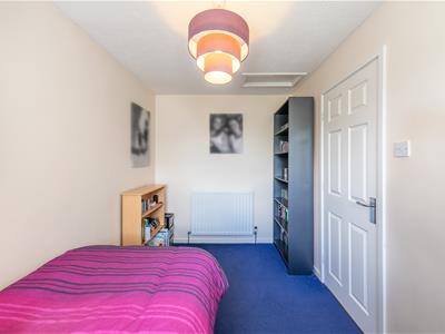 Picture 20